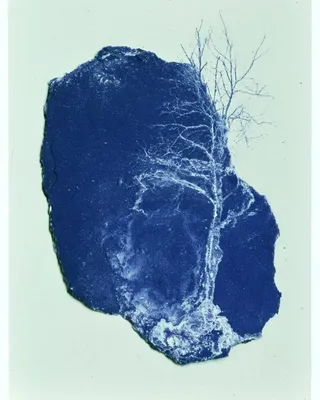 Ceramic Glaze Test Tile · Variant 1 preview