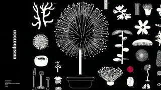 Precise Botanical Field Guide Plate Of Impossible · Variant 4 preview