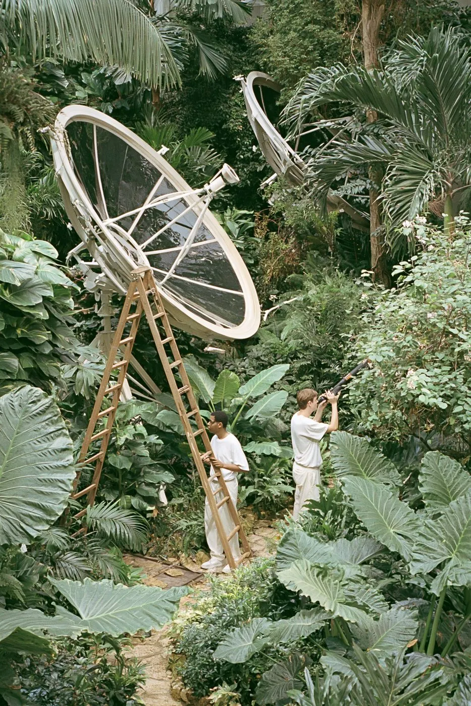 sun-bleached glass satellites orbit backward through a silent film studio, surrounded by enormous houseplants preview