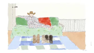 Cowboy Waving The Stars And Stripes In · Variant 2 preview