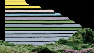 Terraced Rice Fields Seen From Directly Above · Variant 2 preview